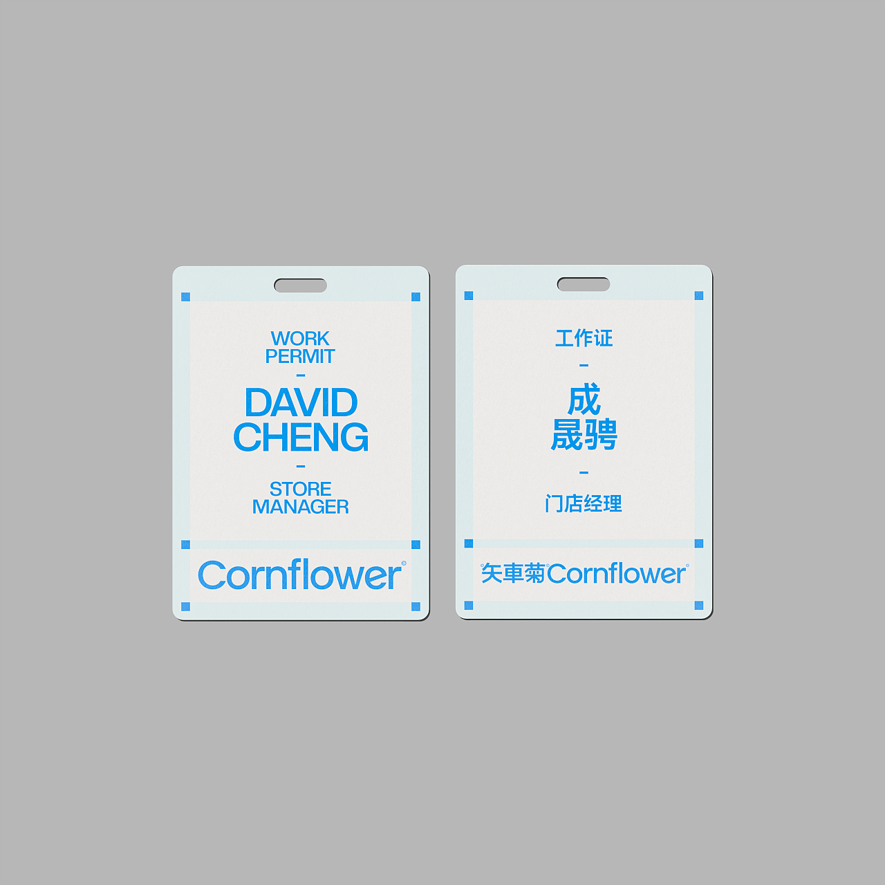 矢車菊Cornflower-由自然定义自然