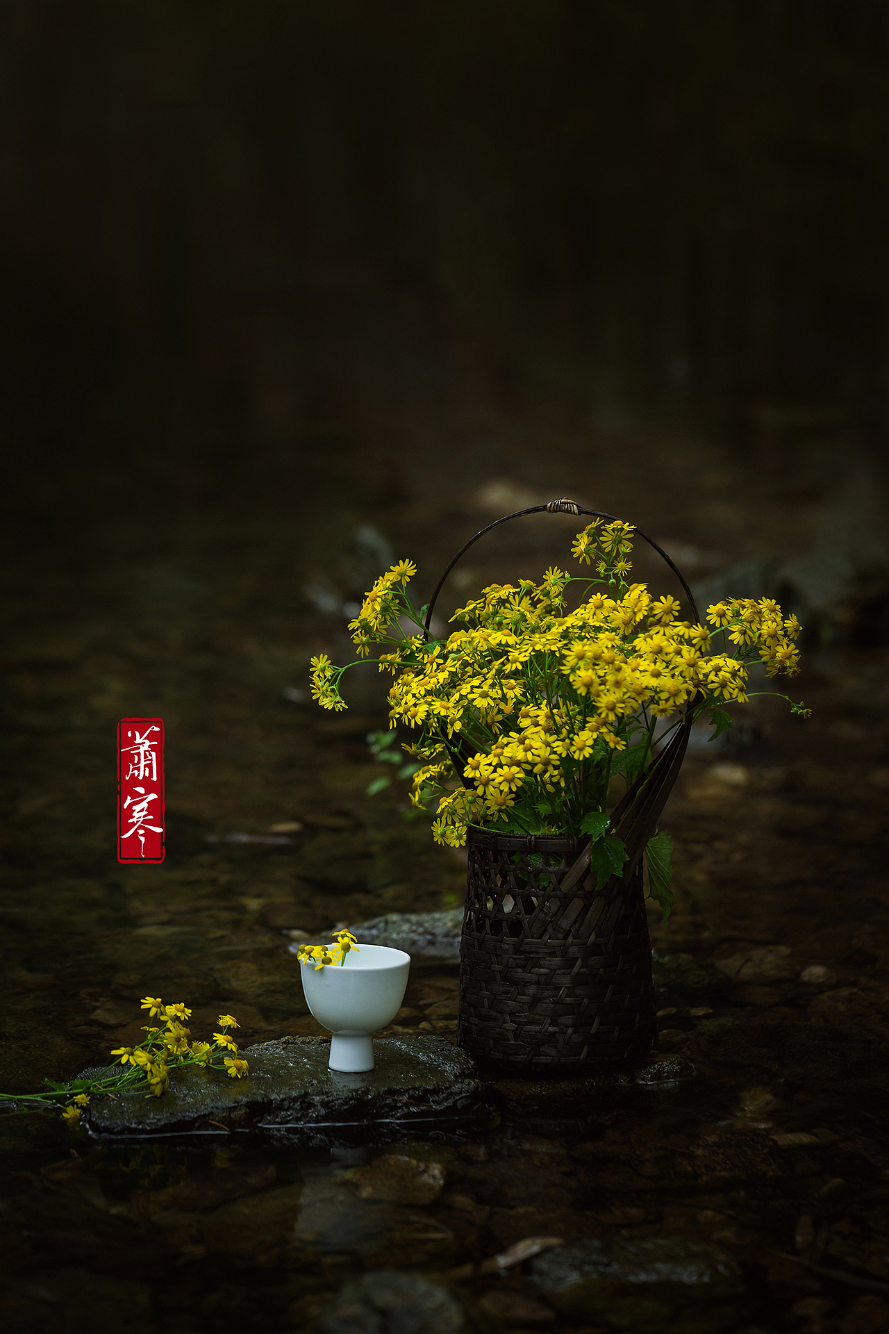 闲野 | 初夏轻黄小小花