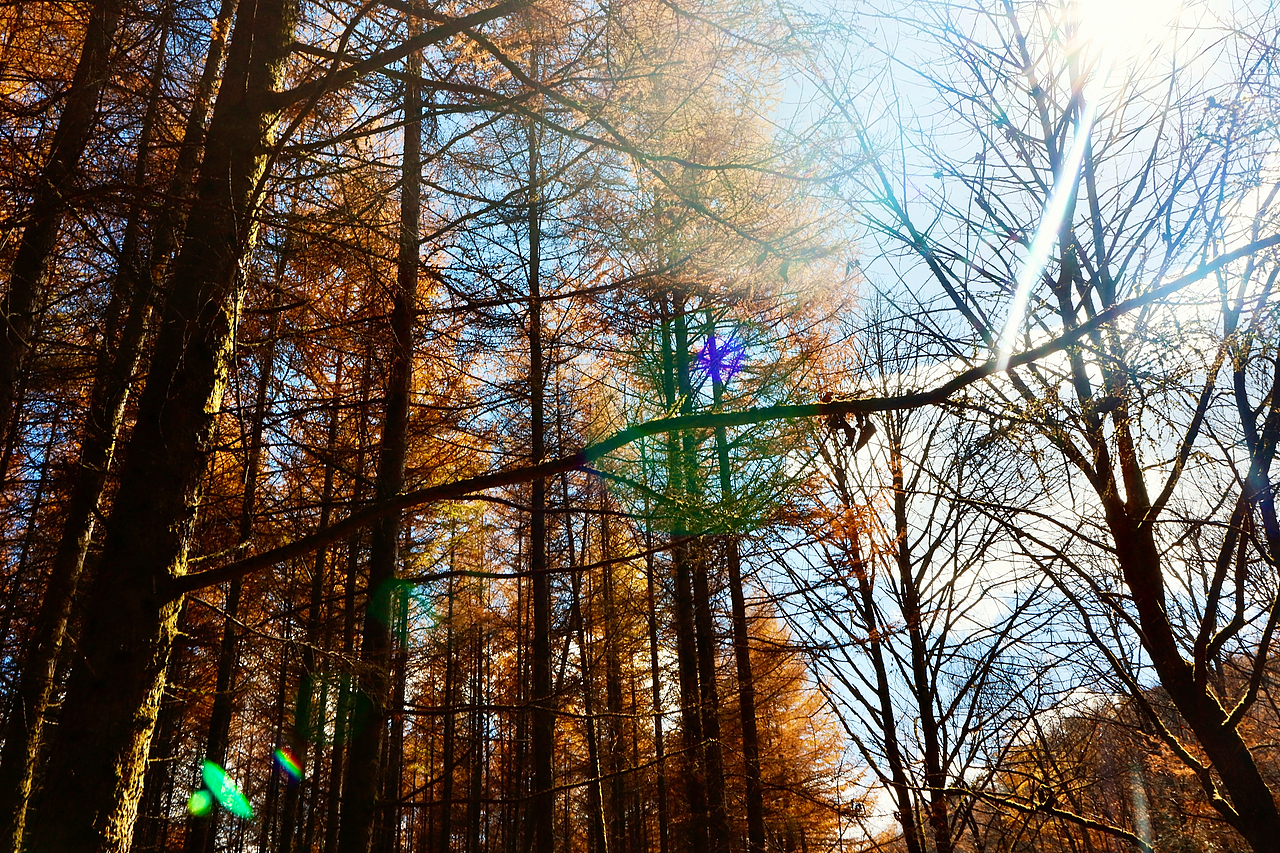 光雾山（图ZMzIxNDE2NTE2） - 风光摄影 - 站酷设计师mint123原创素材 - 站酷ZCOOL