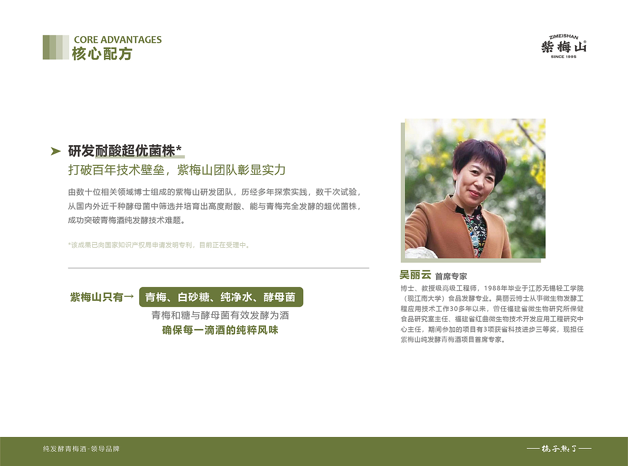 紫梅山青梅酒品牌手册