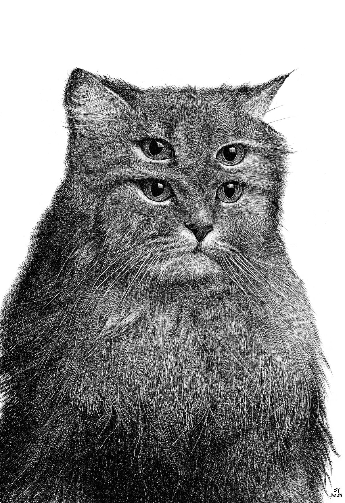 OY手绘：钢笔画猫 合集（图ZMzI0NjY3NzEy） - 商业插画 - 站酷设计师欧阳鹏杰_OY原创素材 - 站酷ZCOOL