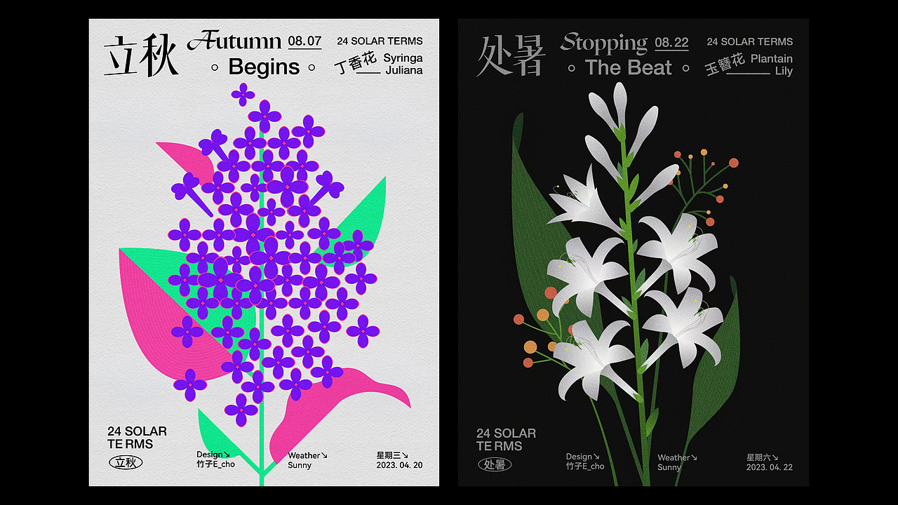 二十四节气花卉