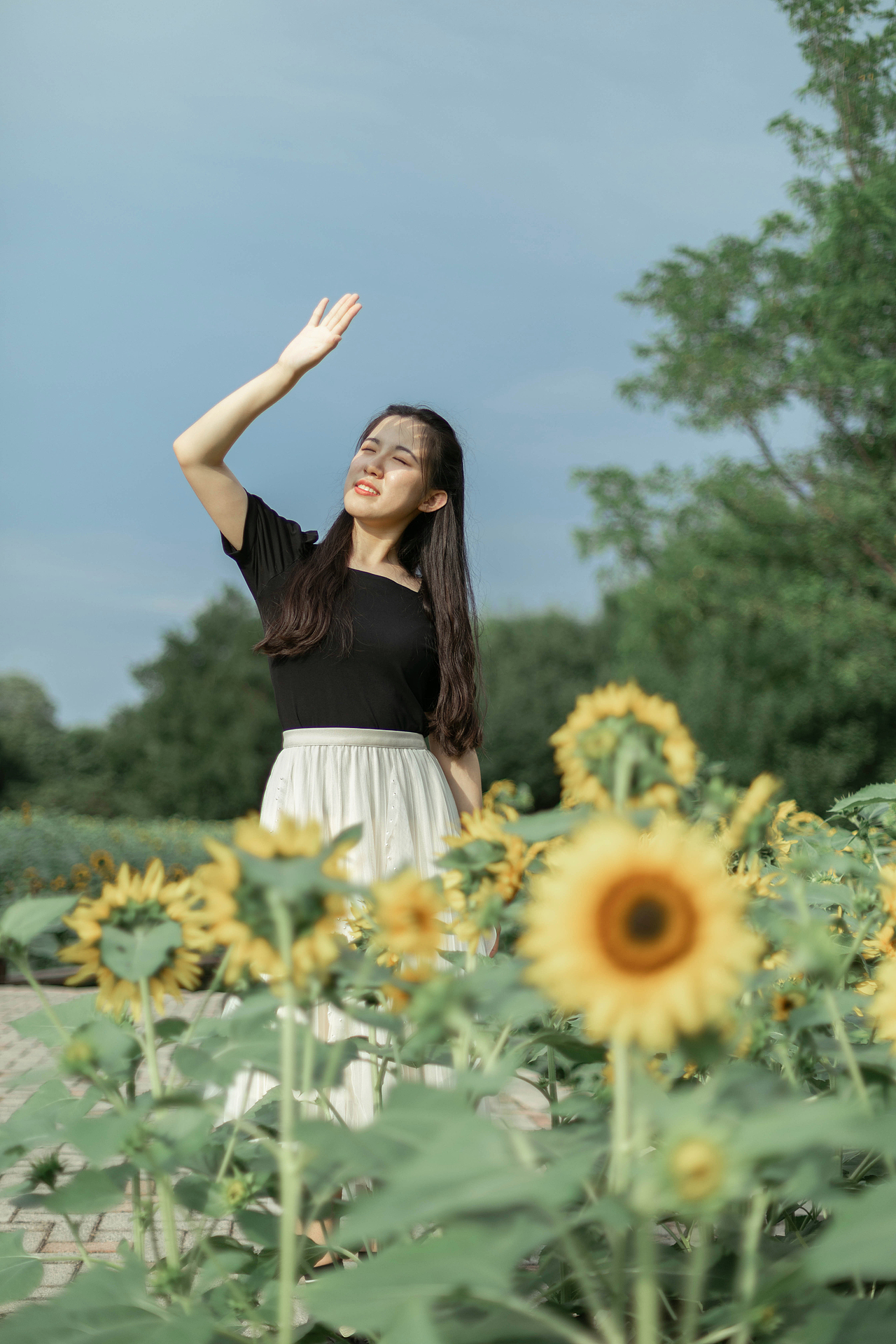 北京奥森向日葵花拍摄毕业照拍摄人像摄影写真北京约拍