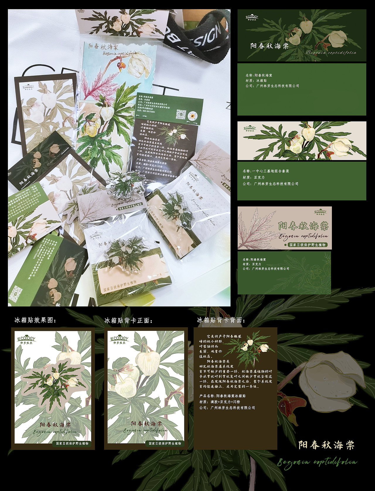 插画文创周边——植物篇（图ZMzAzOTE2OTY4） - 品牌 - 站酷设计师懒九五原创素材 - 站酷ZCOOL