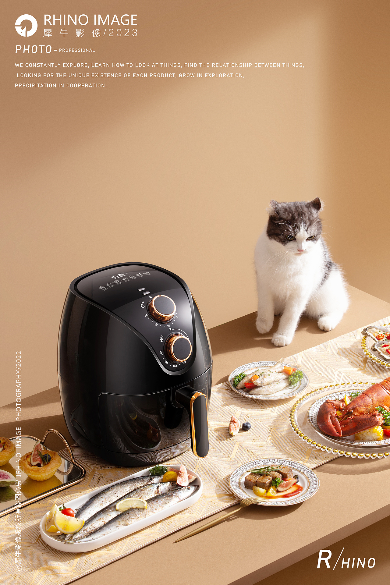 空气炸锅 | 小家电 | 犀牛影像（图ZMzU2MTkwMDcy） - 产品摄影 - 站酷设计师犀牛影像原创素材 - 站酷ZCOOL