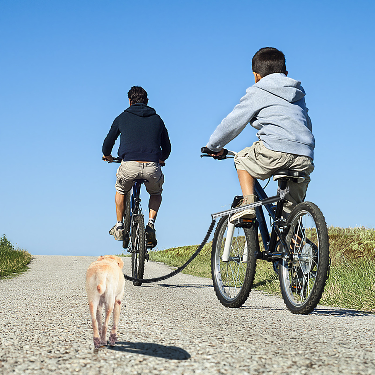宠物 自行车牵绳器 亚马逊主图 A+