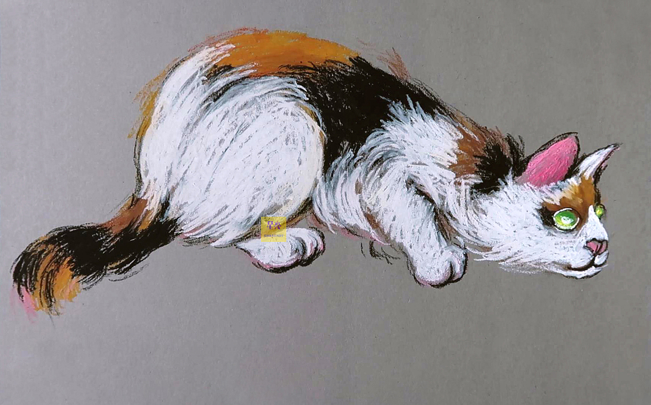 油画棒猫咪绘画步骤