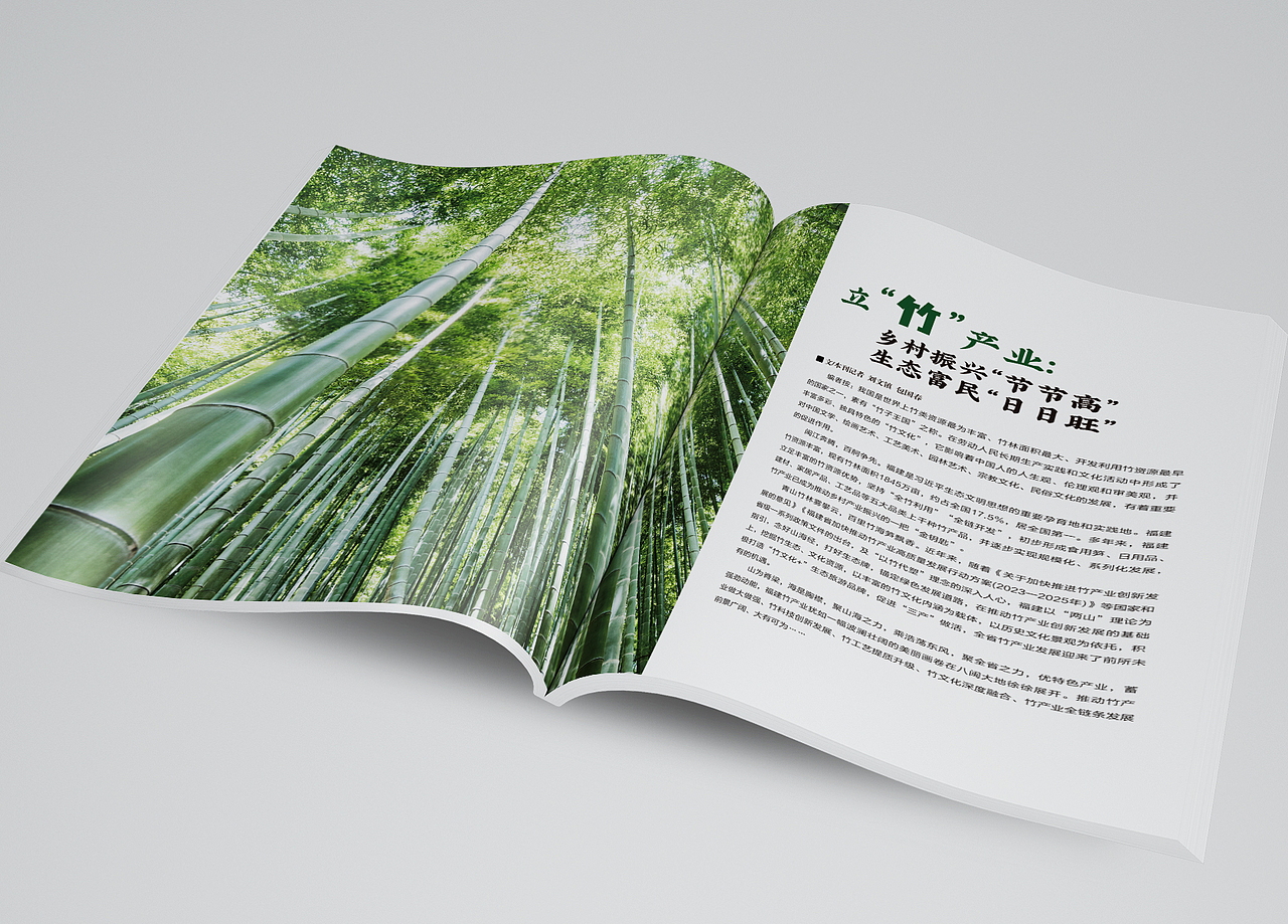 杂志书籍宣传画册设计报刊期刊报纸刊物内页设计
