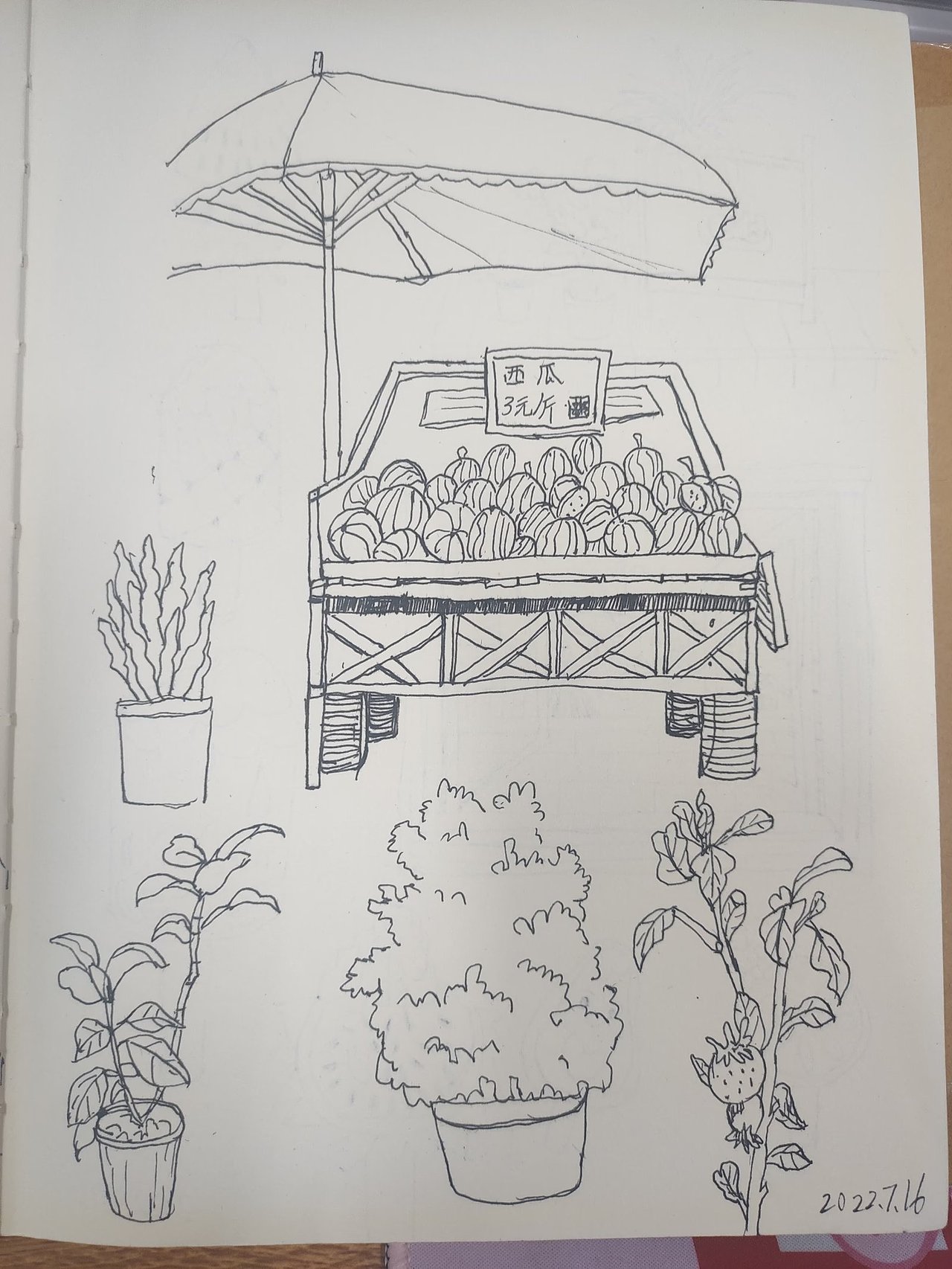 画画小本子完成啦