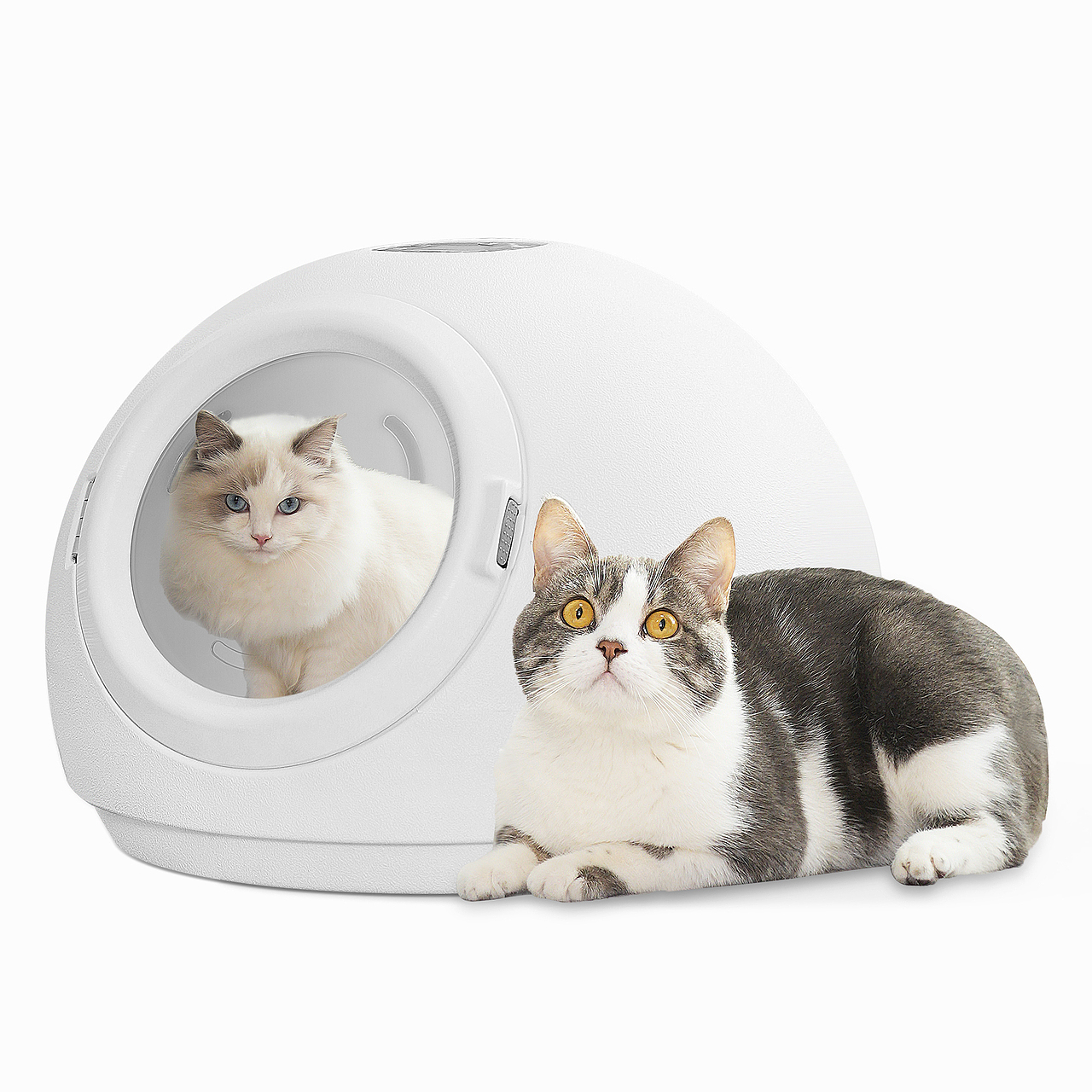 电器产品摄影宠物吹毛机主图视频拍摄亚马逊详情设计产