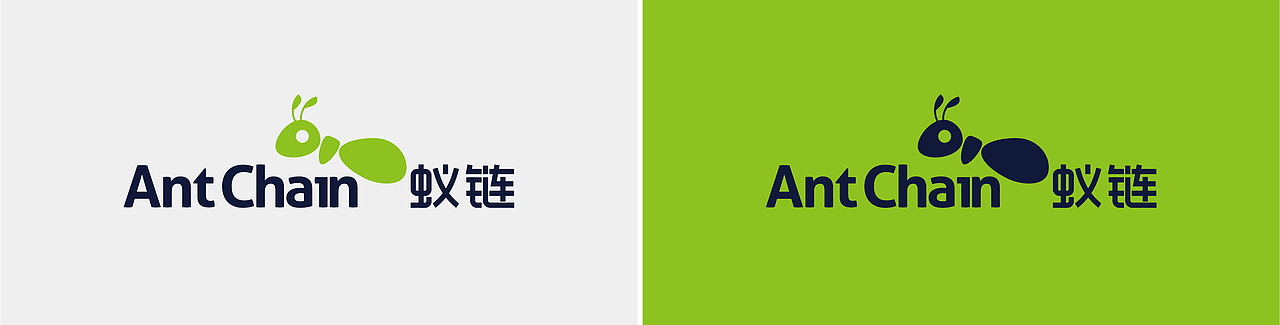 蚁链×浩博品牌全案丨物流品牌设计/LOGO/VI