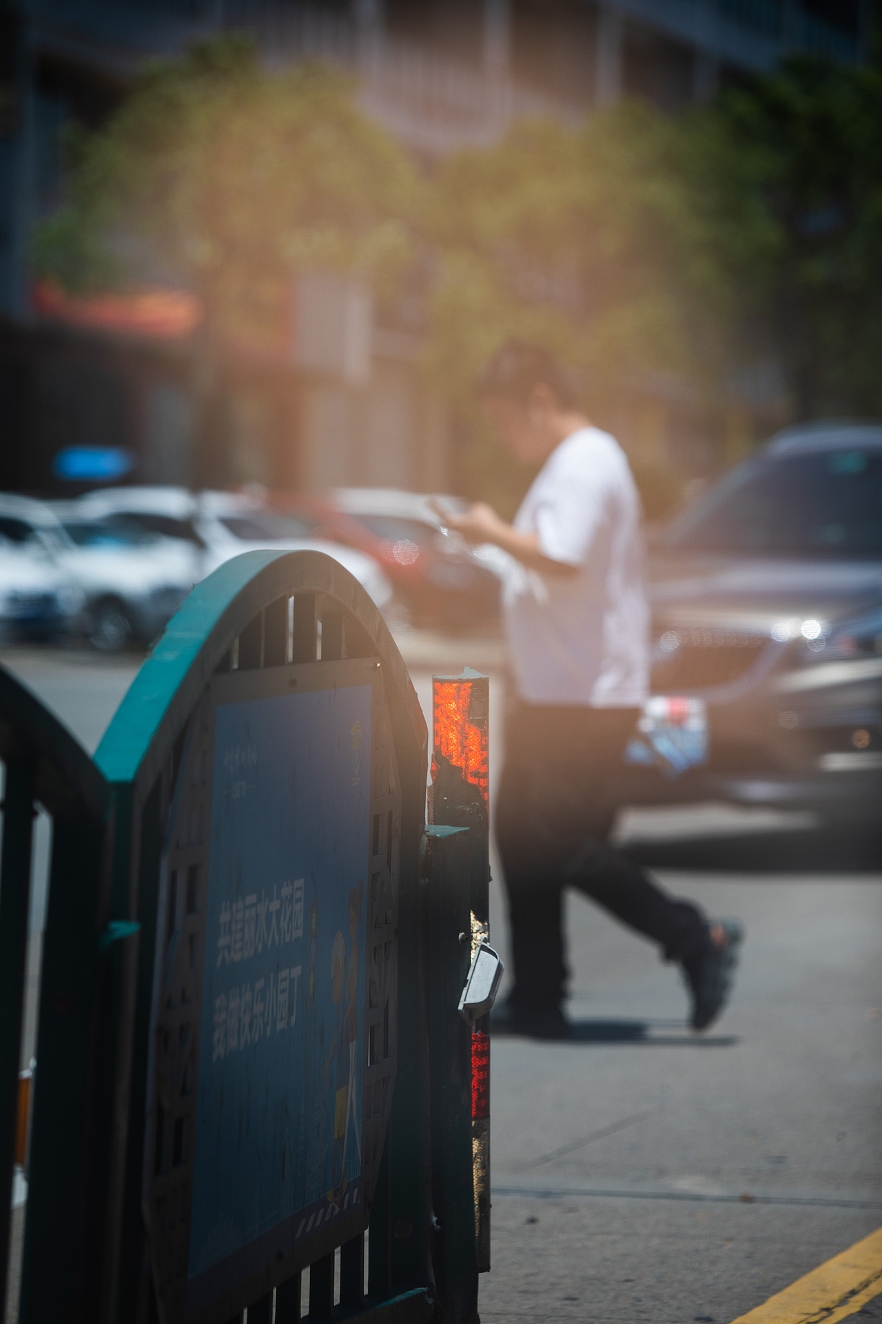 平凡摄影 | 盛夏生活  独自忙碌，各自安好！