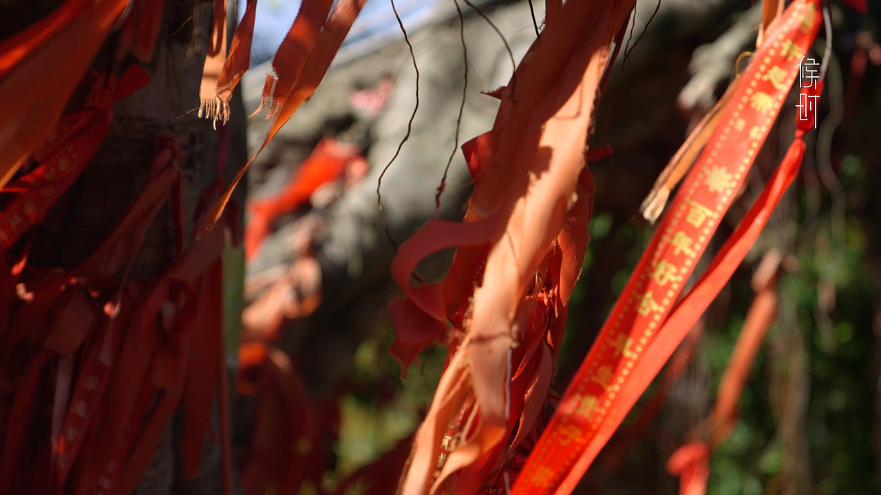 端午节创意短片（图ZMzQ1Mzg1NjAw） - 人文/纪实摄影 - 站酷设计师PlateQiu原创素材 - 站酷ZCOOL