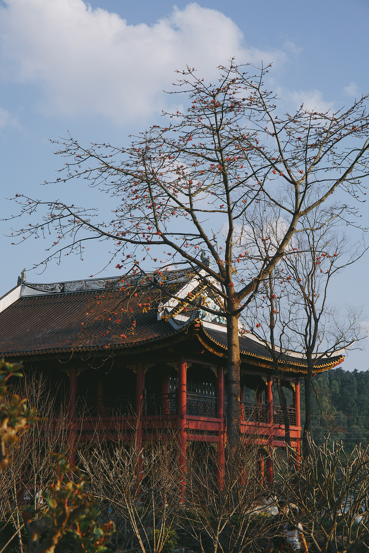 假日公园（图ZMzY1MzQyMjcy） - 风光摄影 - 站酷设计师KZRZR原创素材 - 站酷ZCOOL