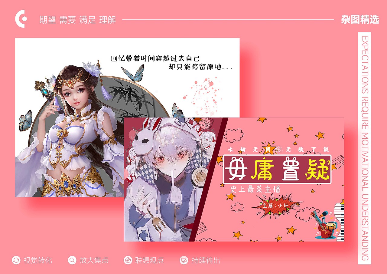 作品集  宠物   VIS   电商设计