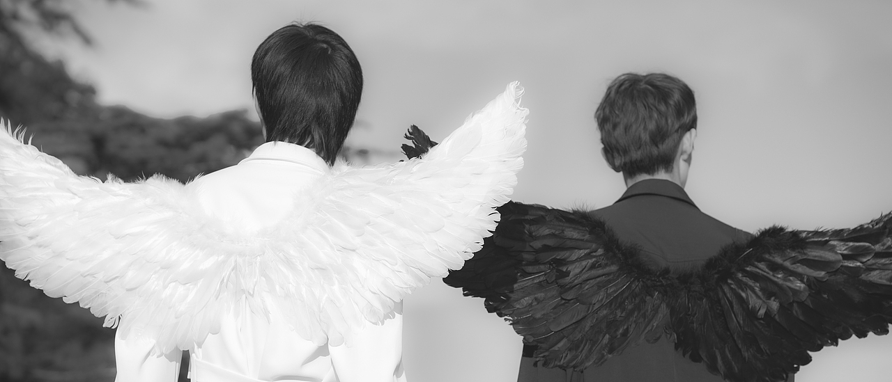 黑白-天鹅双男主