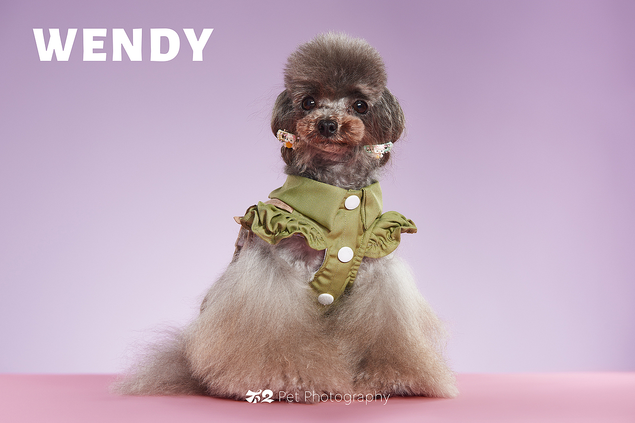烟台美食摄影 | 萌宠 ✖ 不二造相