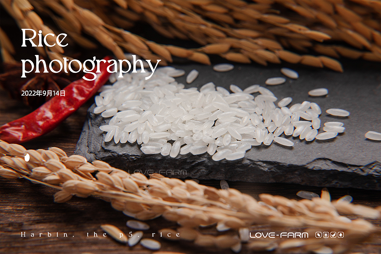大米摄影