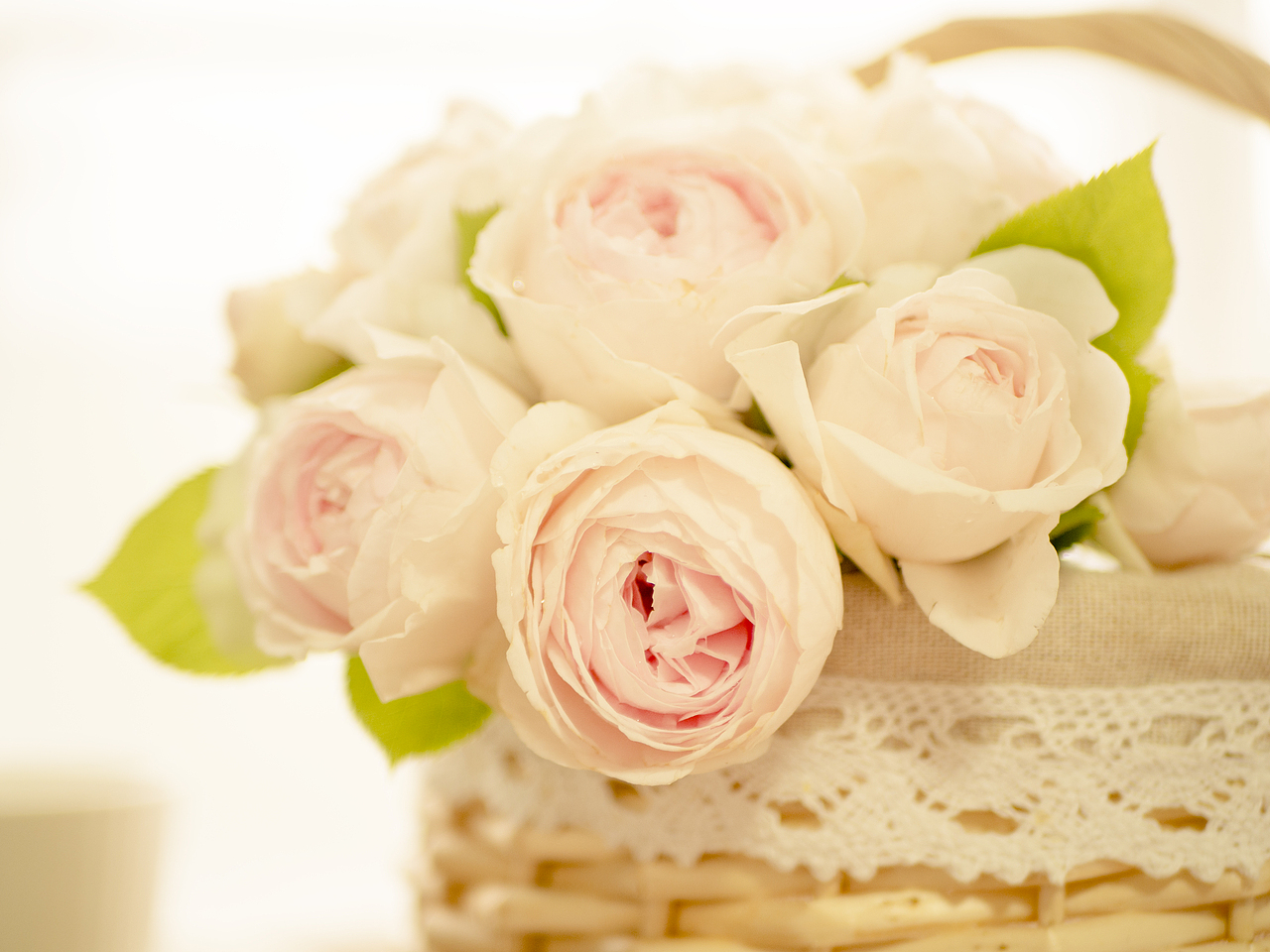 克里斯蒂安娜公爵夫人