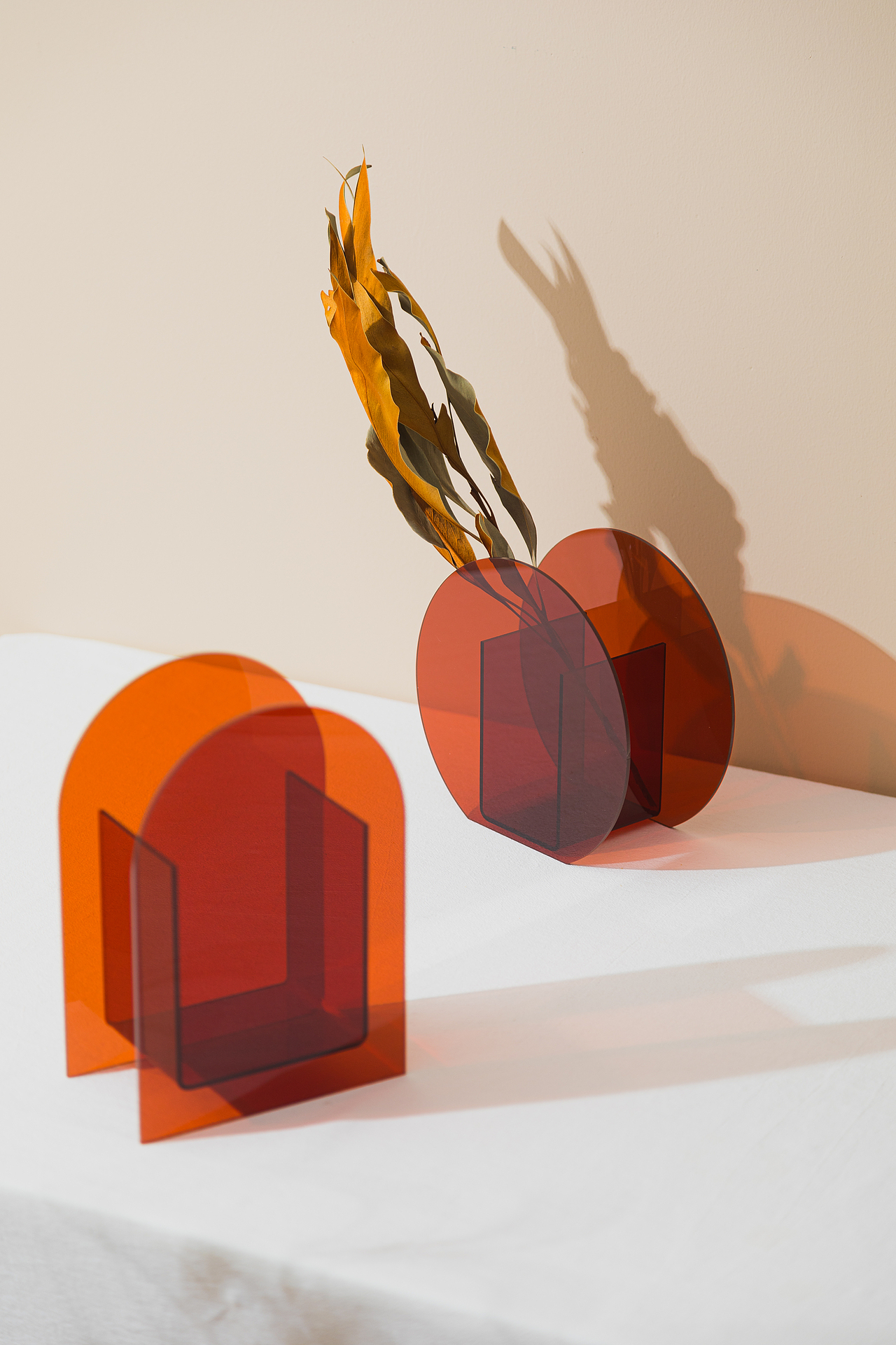 《我要说》| 亚克力花瓶 | 仿真花艺 | 摆件 | 装饰品（图ZMzI0NjA1MzY0） - 产品摄影 - 站酷设计师一毛拍美器原创素材 - 站酷ZCOOL