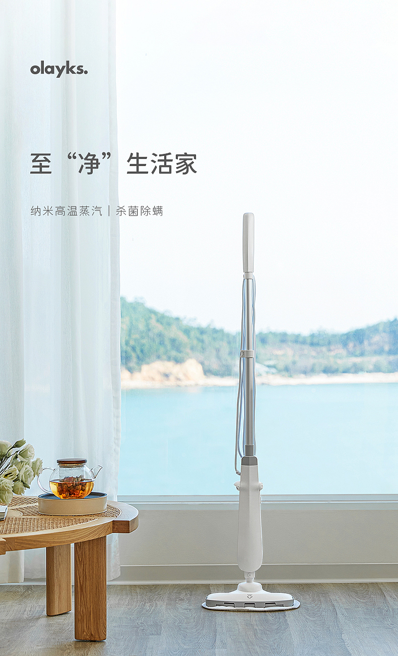 蒸汽拖把电商详情