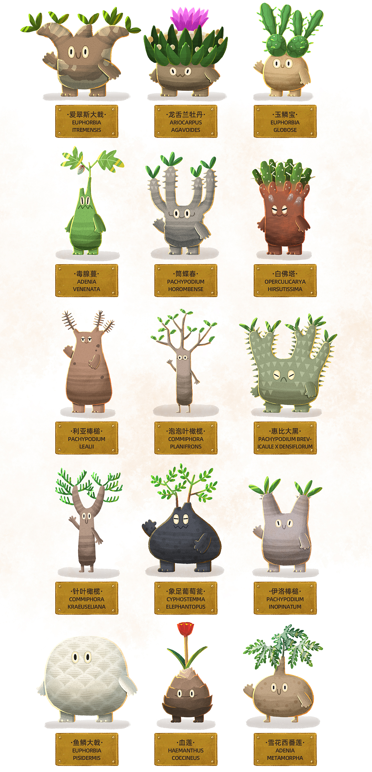 FARMER'S MUSEUM珍奇植物中心营业中