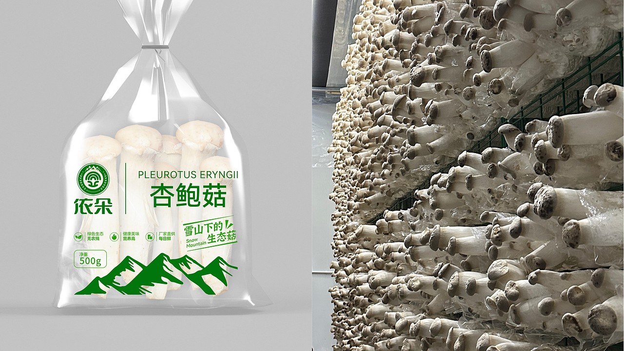 英迈品牌设计2023@案例合集（下）  策略/视觉/运营  