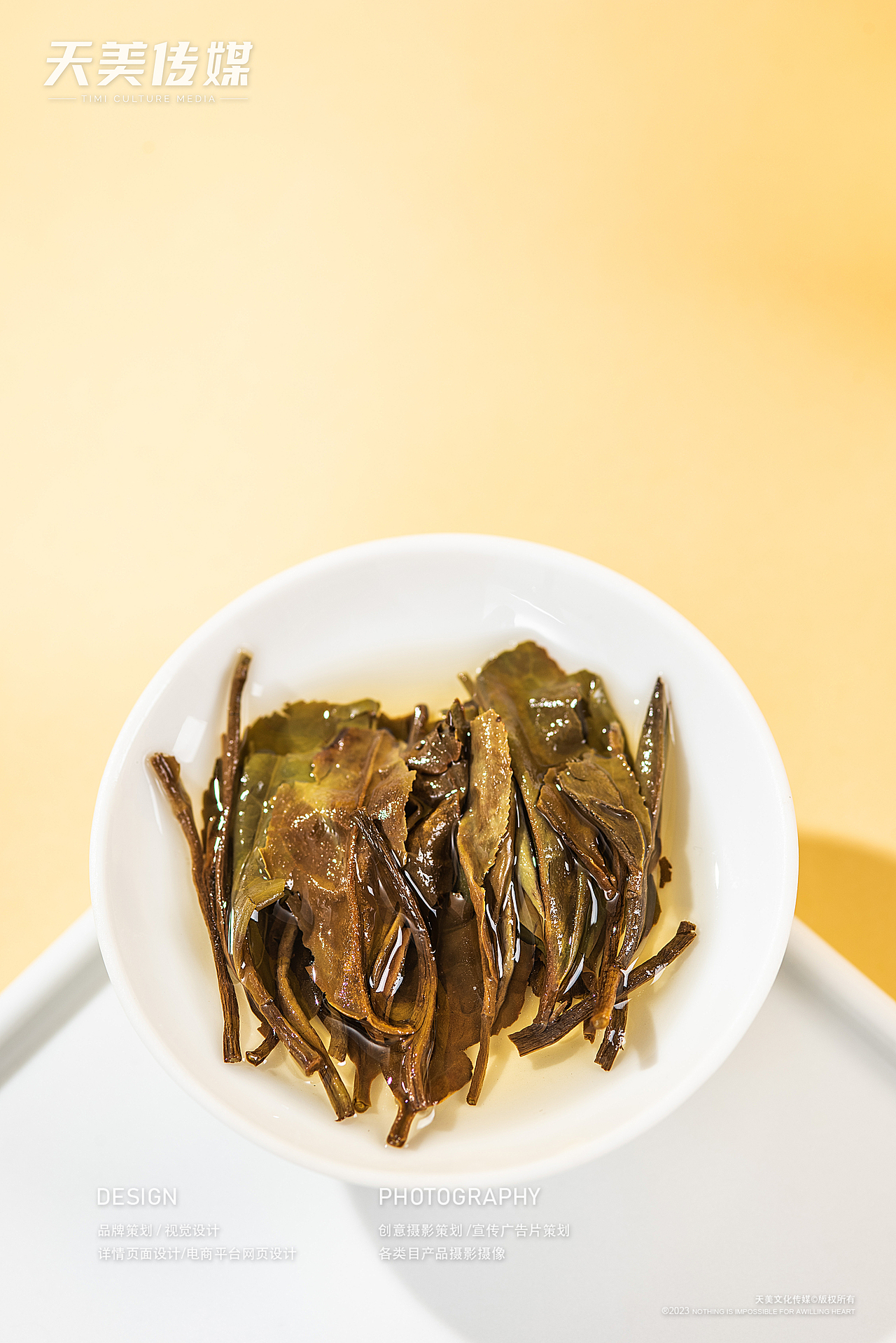 茶叶拍摄 茶叶摄影 福鼎白茶拍摄 茶叶视频拍摄 茶产品