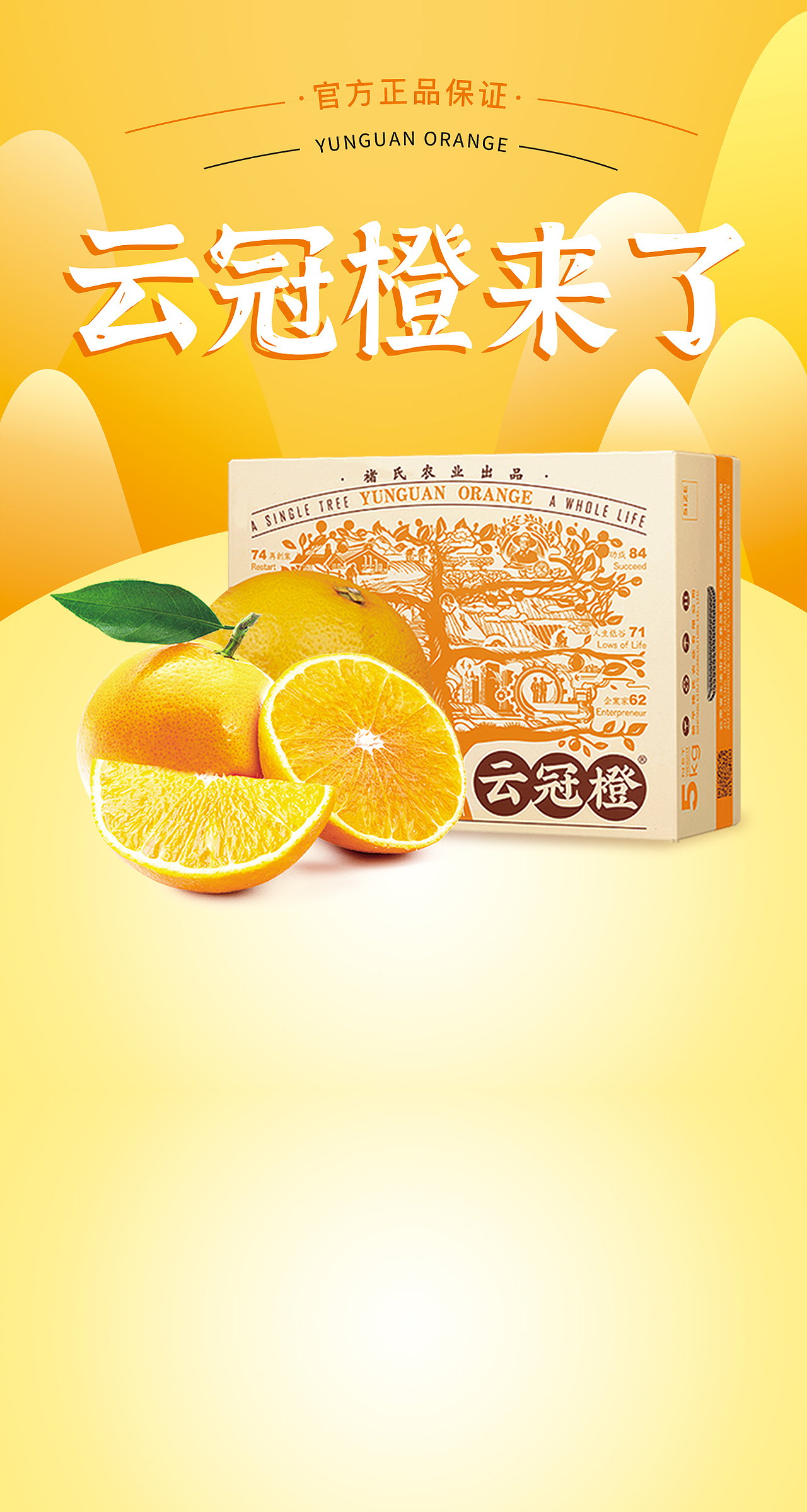 2022年商业作品（图ZMzE5NzUwNjcy） - 海报 - 站酷设计师甜崽小洋原创素材 - 站酷ZCOOL