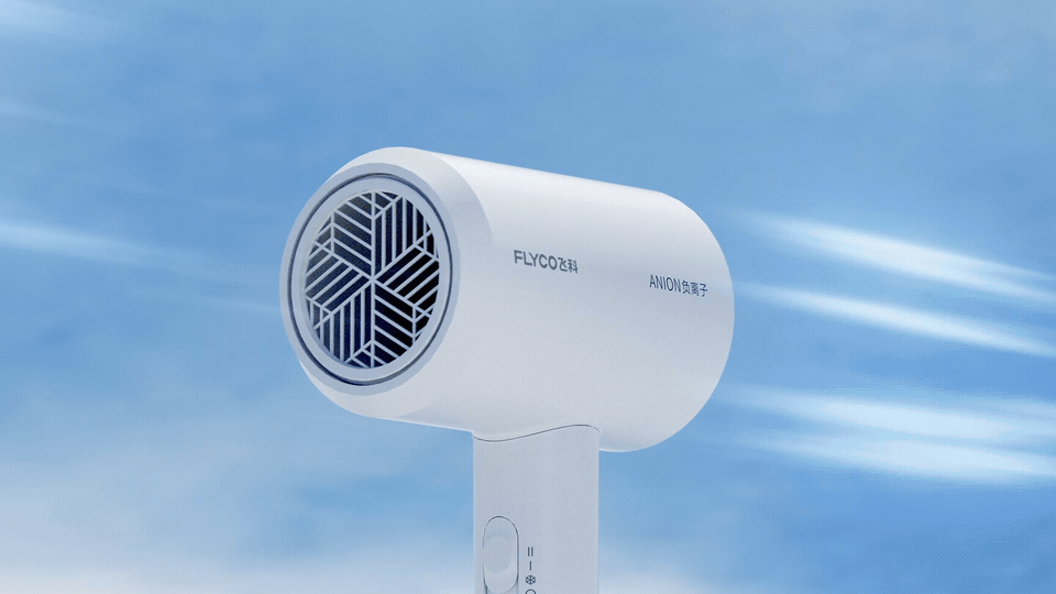 飞科电吹风FH6290