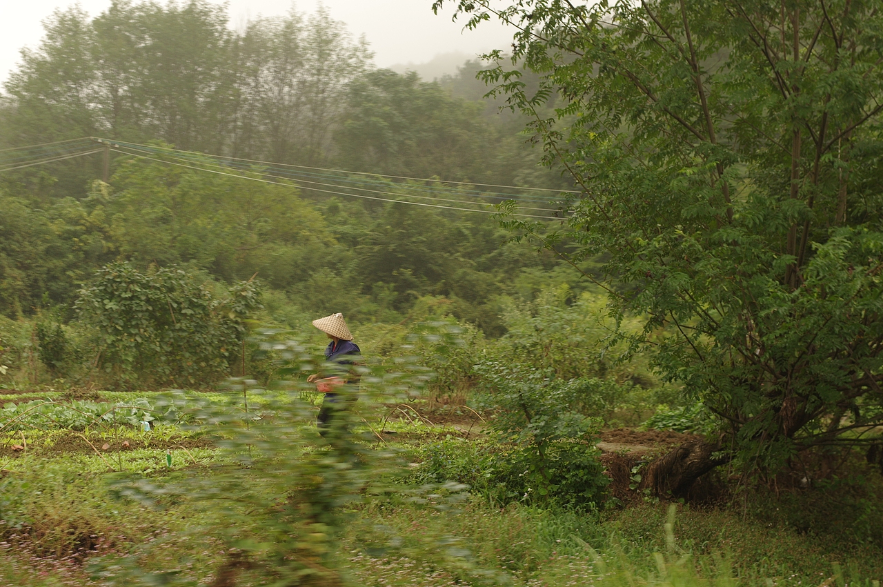 向山行（图ZMzUyMDY4NTI4） - 风光摄影 - 站酷设计师闲猫炸薯条原创素材 - 站酷ZCOOL