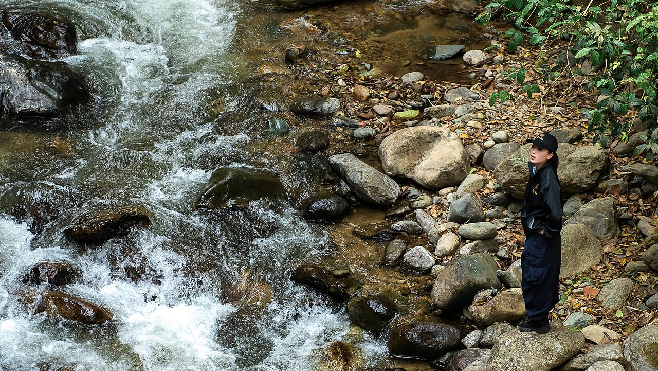 【满果文化×卫汩】卫一方古树茶 守一片赤诚心