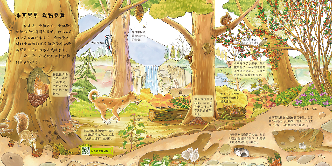 科普绘本《走向田野·四季的流转》已出版