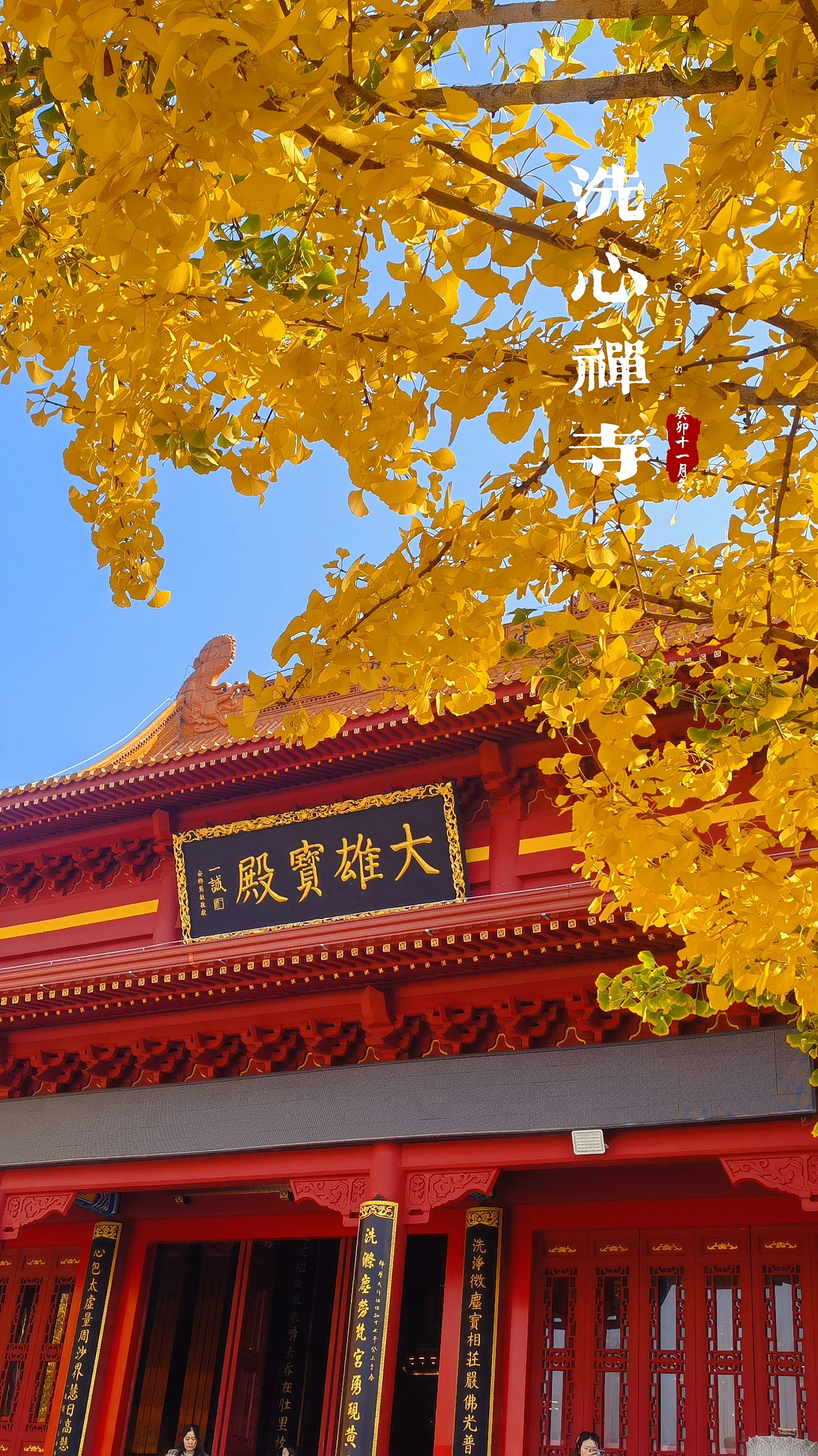 洗心禅寺-2023年秋