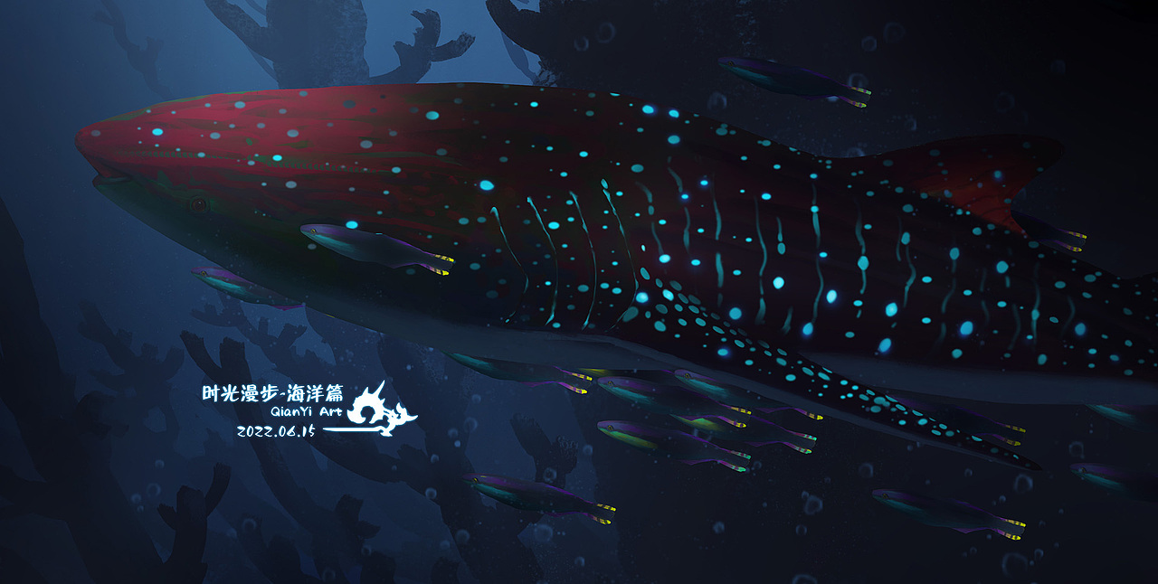时光漫步-海洋篇