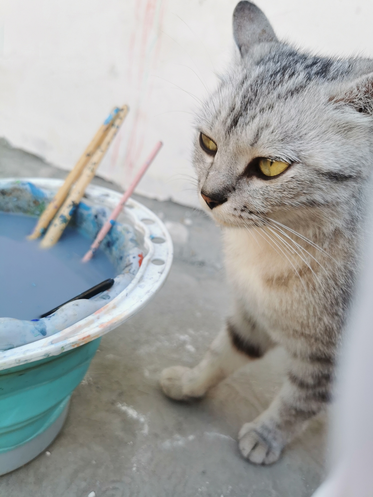 墙绘《你的名字》 《龙猫》（图ZMzE3OTk4OTI4） - 绘画 - 站酷设计师我的晚礼服原创素材 - 站酷ZCOOL