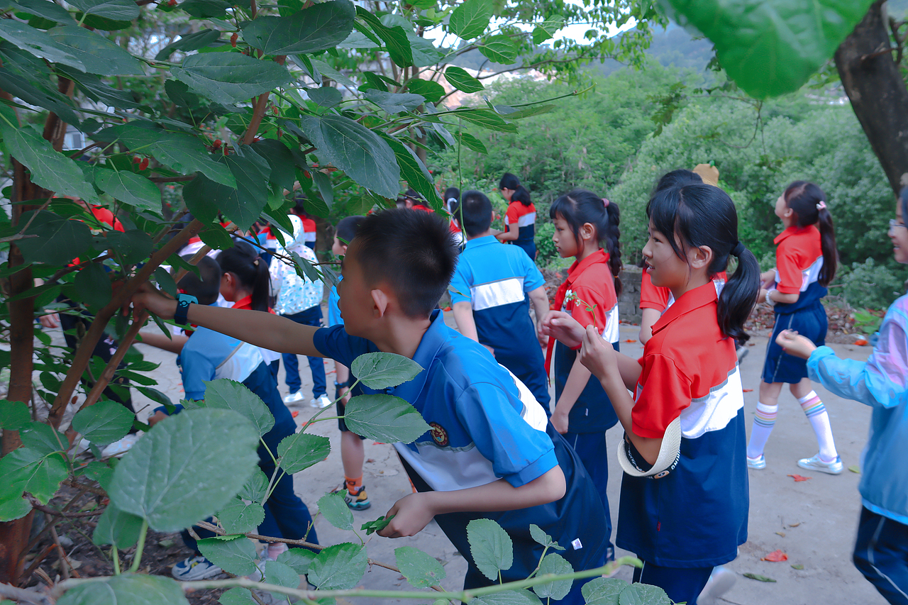 走出教室,走进田间丨后溪小学走进文源山现代农业基地