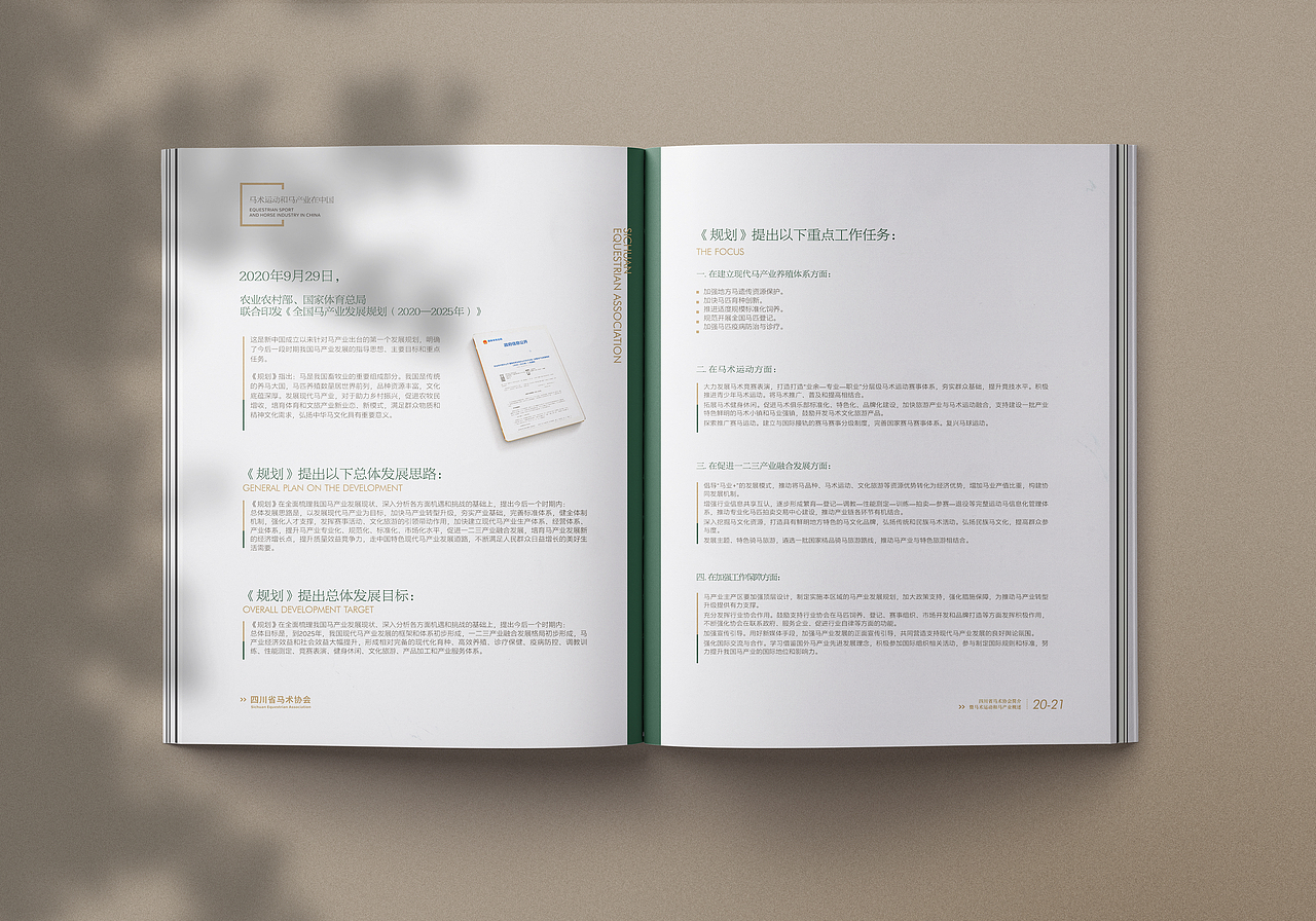 有禧设计 | 某省马术协会简介 伴手画册