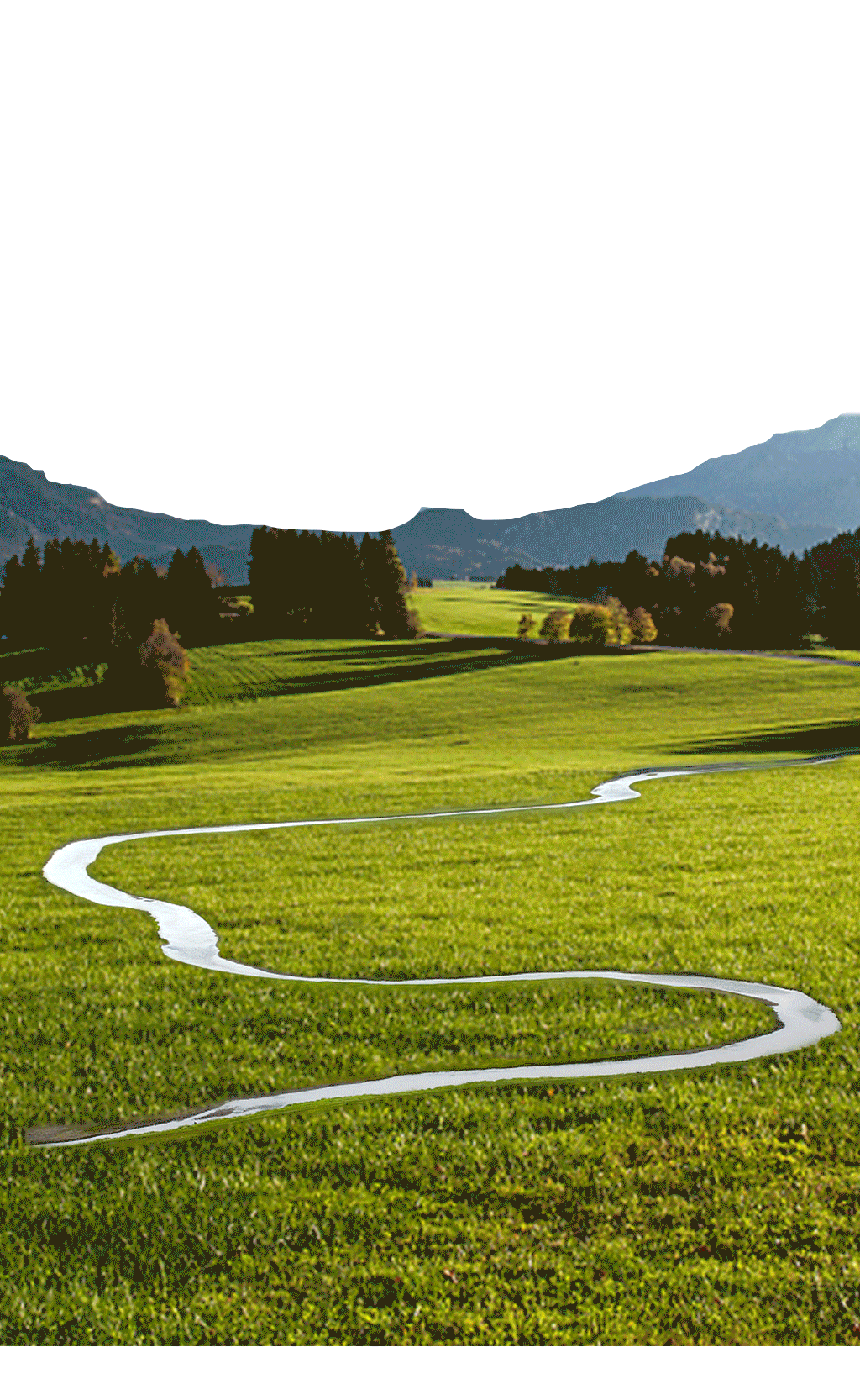 电商合成海报设计分享-模拟商业练习（图ZMzA3NzQ4MzQ0） - 电商 - 站酷设计师泡芙Z原创素材 - 站酷ZCOOL