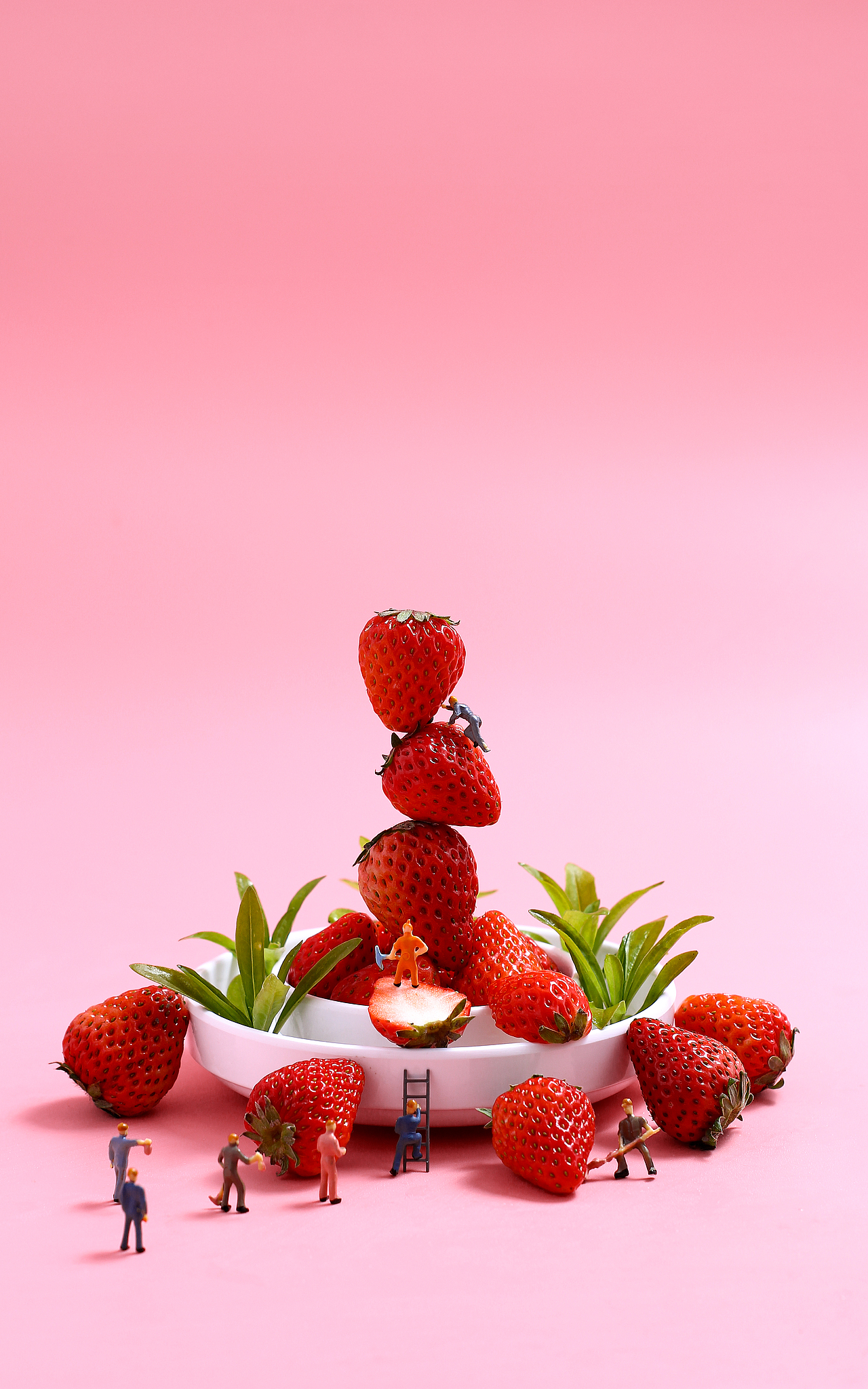 草莓X凨影视觉X水果X微观