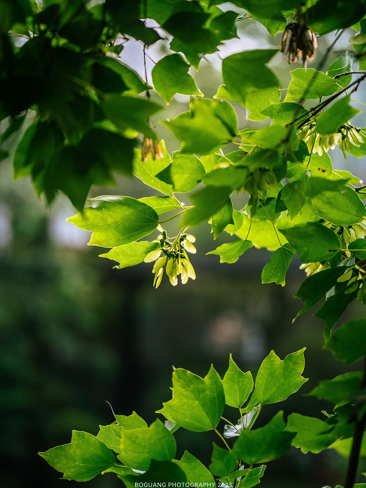 商业空间|麓湖麓隐（图ZMzQzNDg0Mzgw） - 环境/建筑摄影 - 站酷设计师成都泊光空间摄影原创素材 - 站酷ZCOOL