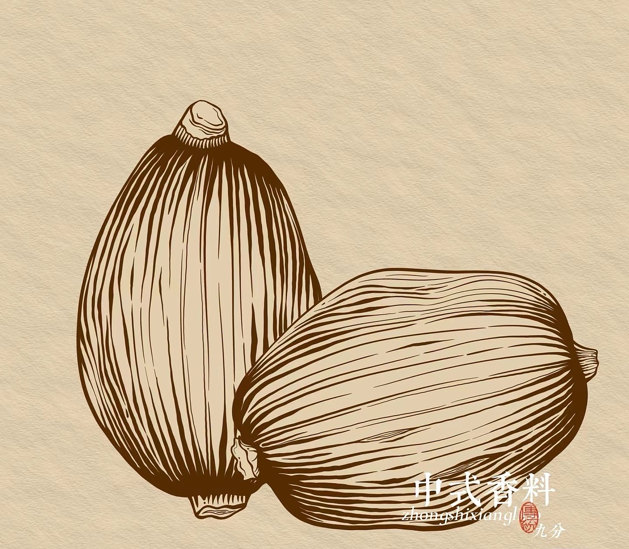铜版画风格【中式香料|茴香|草果|香叶|八角|豆蔻】（图ZMzY4MDg5MDgw） - 商业插画 - 站酷设计师九分YUii原创素材 - 站酷ZCOOL