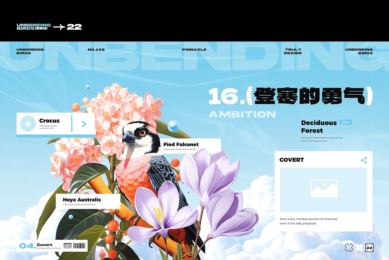 【登寒记】倔强的雀鸟——PPT设计(图ZMzU4OTA1NTky) - PPT/Keynote - 站酷设计师凉了药原创素材 - 站酷ZCOOL