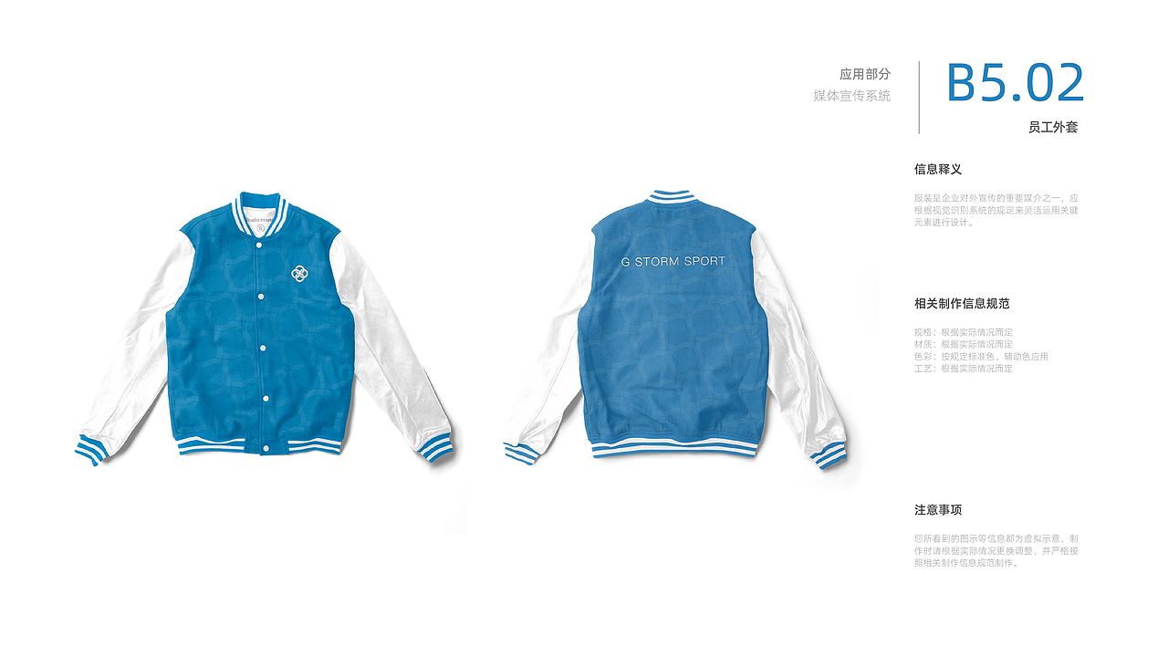 G STORM 极风体育VIS应用部分