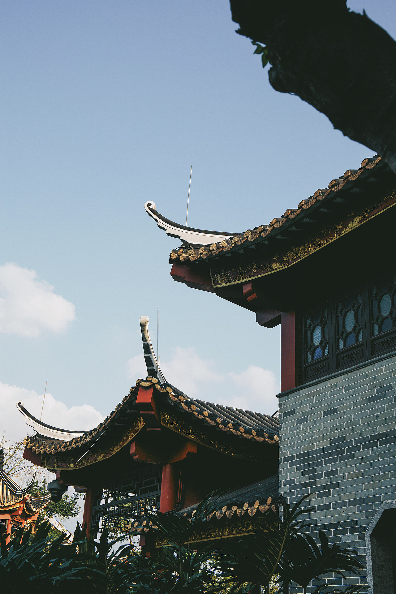 假日公园（图ZMzY1MzQyMjY0） - 风光摄影 - 站酷设计师KZRZR原创素材 - 站酷ZCOOL