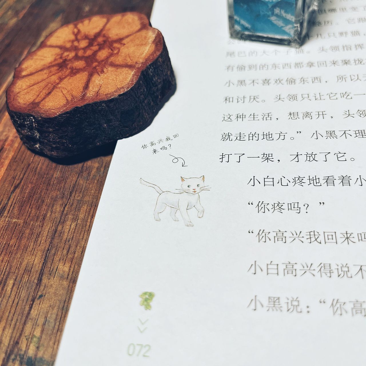 一只乌龟一只猫