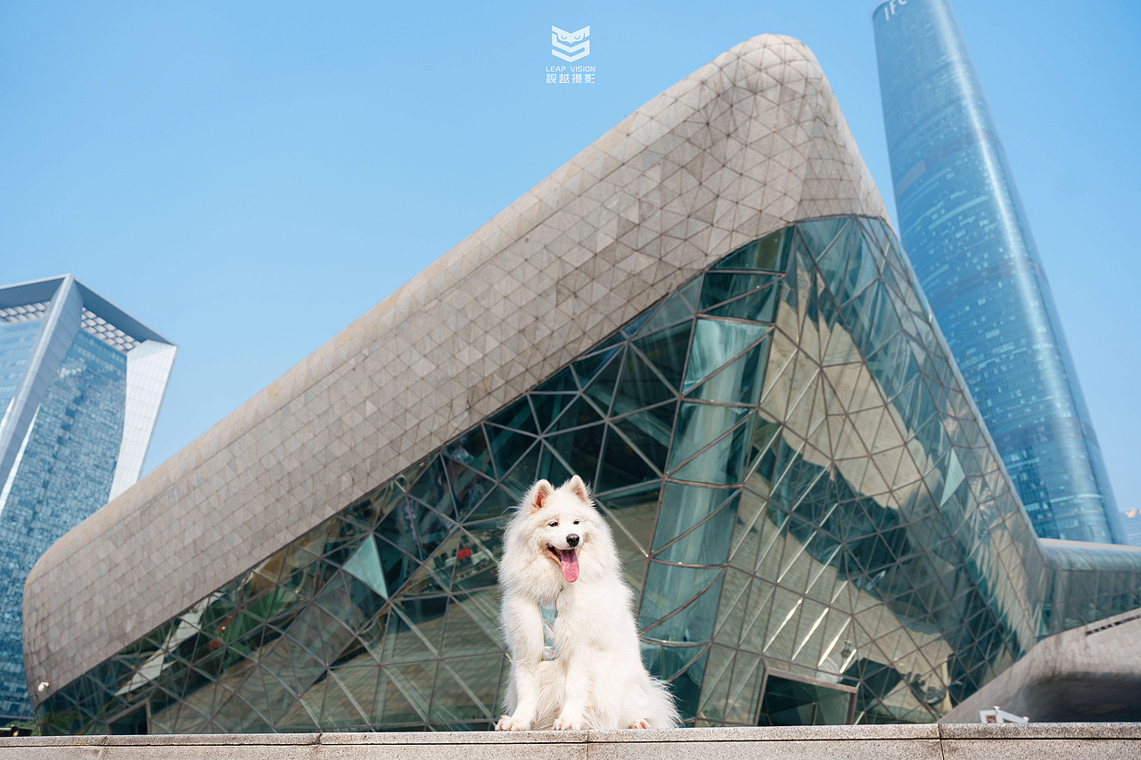 廣州大劇院人寵寫真（圖ZMzYxMTEyNzUy） - 寵物攝影 - 站酷設(shè)計(jì)師小樣攝影原創(chuàng)素材 - 站酷ZCOOL
