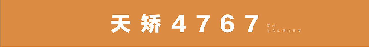 新疆赛里木王 I 白酒包装设计