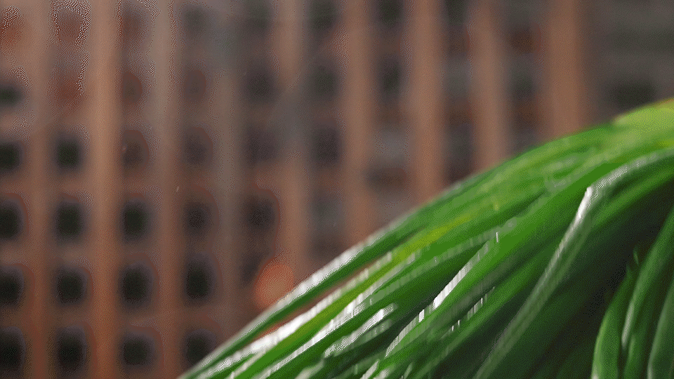 电商葱油拌面视频 | 吴喵喵 X 口水视觉