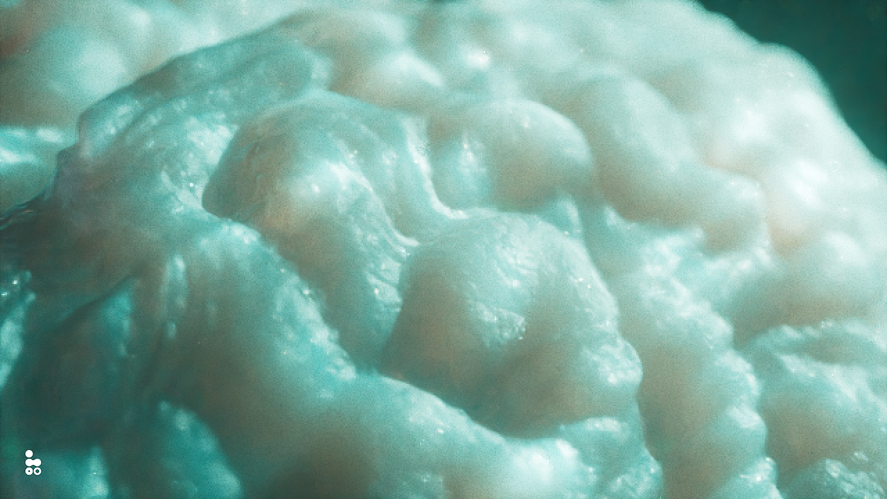 脑新生 动态设计（图ZMzE1MTEzODIw） - 人物/生物 - 站酷设计师omoolab原创素材 - 站酷ZCOOL